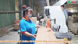 MÁY DÁN CẠNH 6 Chức Năng Holztek- MÁY DÁN CHỈ PVC VENEER PRO-610A