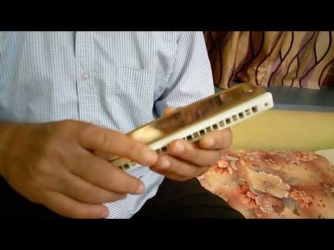 Insignia vs blueberry harmonica  review | Tapas Das | bollywood song