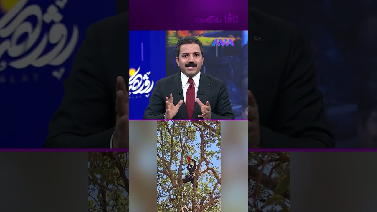 ڤیدیۆ | هەڵمەتێکی خۆبەخشانی گوندی قەڵاواڕی ناوچەی داڵاهۆ بۆ پاککردنەوەی دارستانەکان