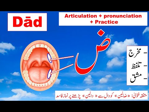 Makhraj of Daad |Tajweed Quran free | Dwaad Tajweed | Quran online | pronunciation of Arabic letters