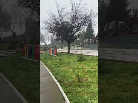 Puren , araucania chile #chiletravel #nature #waterfall #recorriendochile #puren