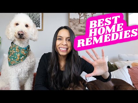 TOP 5 Ways To STOP Dog's Itchy Skin Naturally 🐶 Home Remedies that actually work!