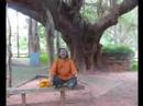 Human Circle 2007clip Baul Fusion World Music Techno Sufi Folk Fakir Mystic Sacred Spiritual Yoga