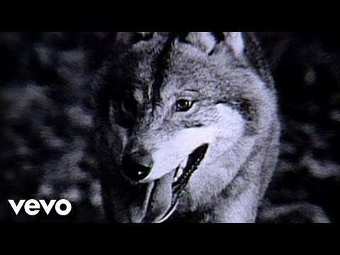 GULD OCH DÖDA SKOGAR cover