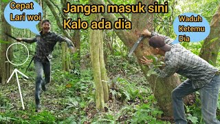 Download lagu RUNNING AWAY THIS IS THE FIGURE OF THE GUARDIAN OF THE BIG FOREST, DON'T TRY IT mp3 Download lagu RUNNING AWAY THIS IS THE FIGURE OF THE GUARDIAN OF THE BIG FOREST, DON'T TRY IT mp3