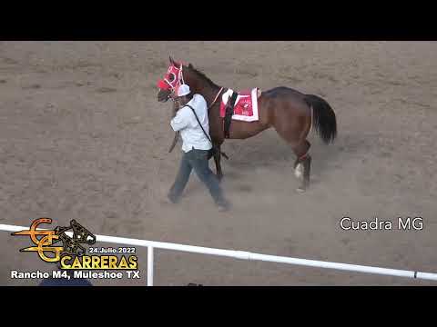 Cuadra Abierta de 50 yardas-24.Julio.2022 Carril M4 Muleshoe TX