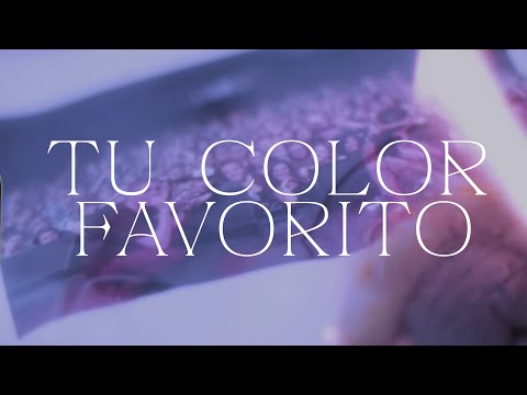 Ante ciento veinte - Tu color favorito
