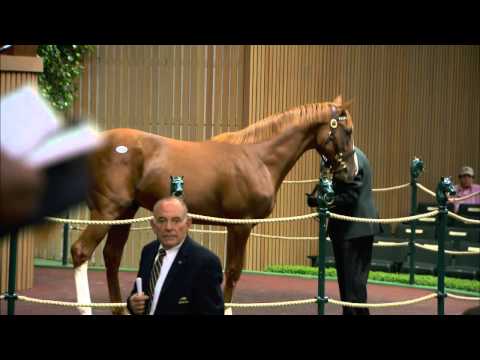 2013 September Sale: Opening Day