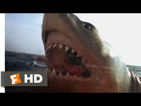 Jaws: The Revenge (3/8) Movie CLIP - You Got 'Im (1987) HD