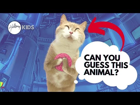 Another Can you Guess the Animal - with Funny Man Dan?!!
