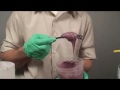 product video