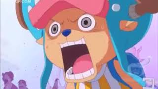 Download lagu Sanji's dream come true mp3
