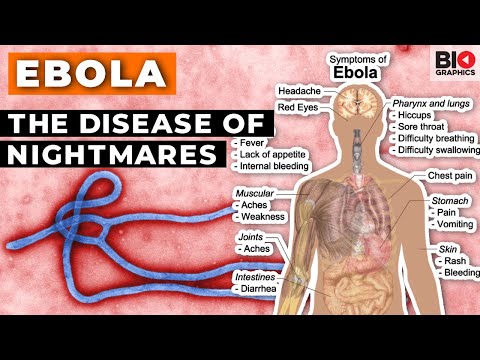 Ebola: The Disease of Nightmares