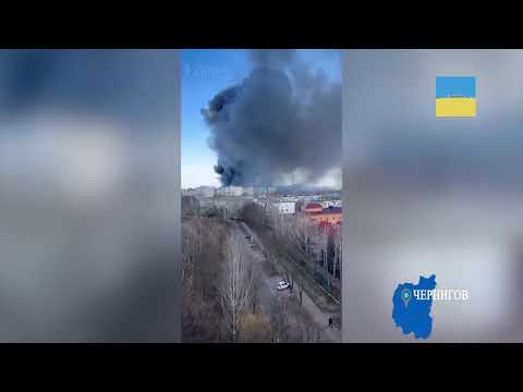 Sergio Gusto - t h i s i s w h e r e i a m