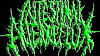 intestinal alien reflux(new song13)