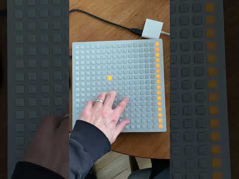 Monome 256 - Walnut image 7