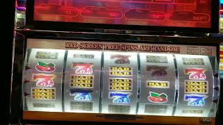 Ruby night out. 5 cent denomination short video  enjoy.