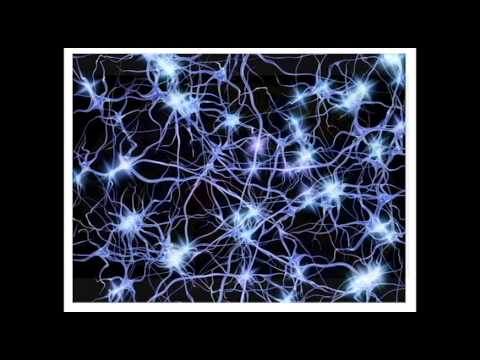 Pecha Kucha Dayton Vol. 18 - Christina McQuinn