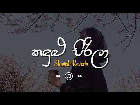Kadulu Pirila - කඳුළු පිරිලා (Slowed+Reverb)