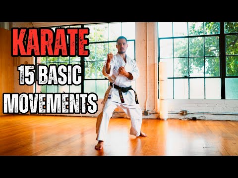 KARATE 15 BASIC MOVEMENTS 🥋⛩️ | SHOTOKAN KARATE