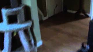 Money changes everything...