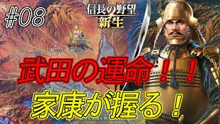 【信長の野望新生】武田滅亡の時？家康重臣会議（視聴者様）を開き信玄の処遇を求める！悩める家康！ｗｗ#08【上級】