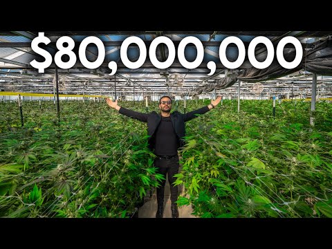 , title : 'Inside The Most Expensive Cannabis Farm For Sale in the United States