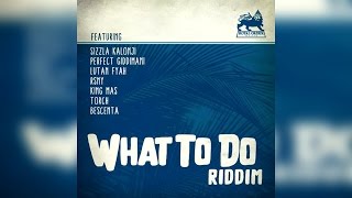 What to Do Riddim 2017 - Mix Promo by Faya Gong 🔥🔥🔥