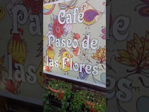 CAFE DE LAS FLORES,EL BOLSON