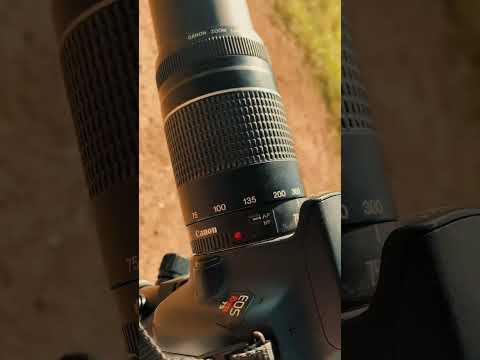 Fotos con mi primera cámara 📸 #canon #canonphotography #canont5 #vintaga #fotografia #camara #foto