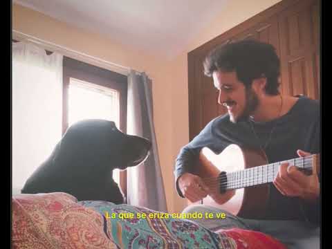 Morochos - Babas y arañazos