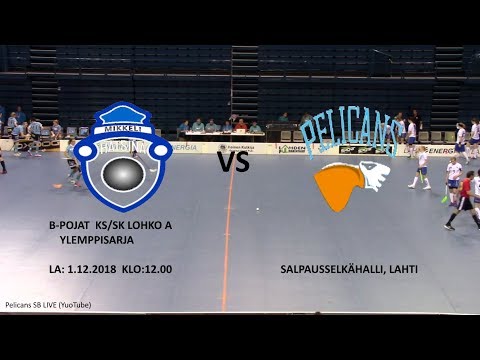 B-POJAT HATSINA-PELICANS SB