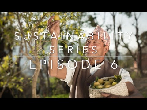 Episode 6: The case for promoting Food Tourism in Nepal