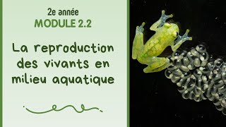 La reproduction des vivants en milieu aquatique