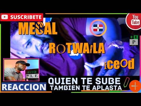 |PANAMEÑO REACCIONA| MECAL Ft. Rotwaila x Ice OD - Quien Te Sube También Te Aplasta #RapDominicano