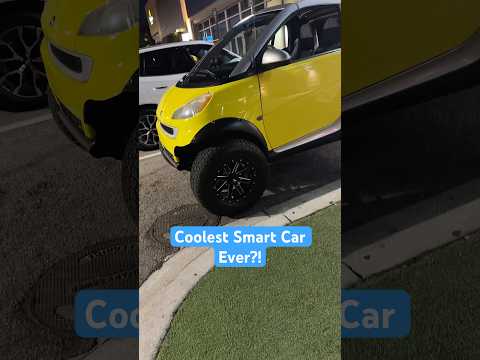 Coolest Smart Car Ever?! #smartcars #florida