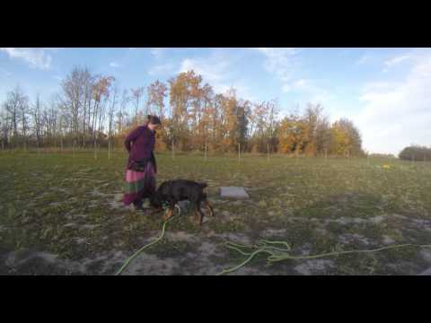 Jaydee Shaping Touch Pads-1