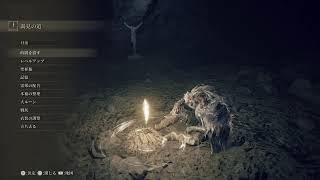 【土曜()定期】完全初見のELDEN RING #38