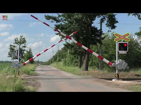 Železniční přejezd Kratonohy #1 [P3988] - 7.6.2024 / Czech railroad crossing