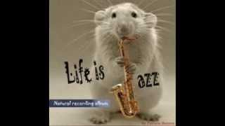 The Look of love   dall'album   LIFE IS JAZZ !