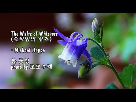 The Waltz of Whispers (속삭임의 왈츠)/Michael Hoppe & photo by 모모수계