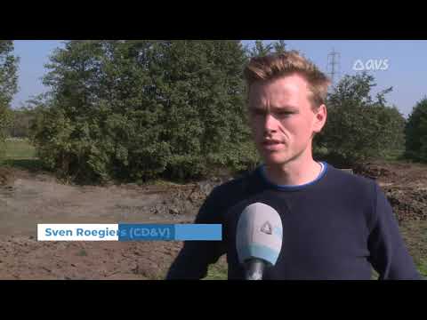 Nieuw bufferbos in Belzele