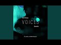 Voices (Hussein Arbabi Remix)