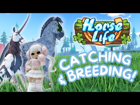 Horse Life! II Catching & Breeding Unicorns! II New Roblox Horse Game