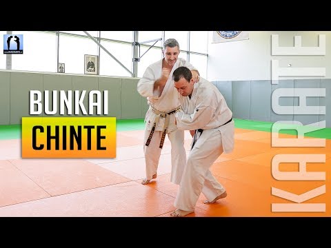 Chinte Bunkai - KARATE 🥋 | Lionel Froidure