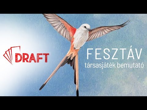 Fesztáv társasjáték bemutató - :: DRAFT :: Társasjáték vlog