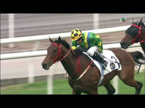 2020/21 (285) - Kasi Farasi (一舖縱橫) - 陳嘉熙