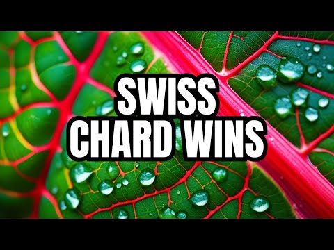 Swiss Chard: The Nutritional Powerhouse You Need!