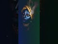 Hare Krishna Maha Mantra Status ️