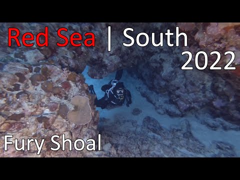 Diving Red Sea | South 2022 | Tauchen in Ägypten | Fury Shoal